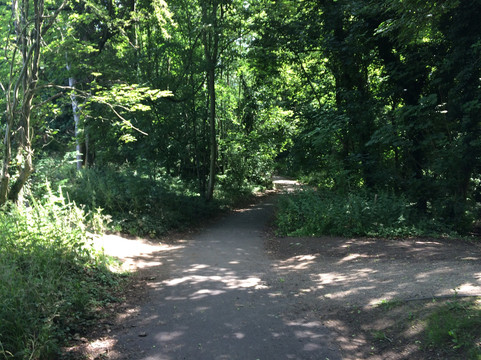 Oxhey Park-沃特福德必去景点