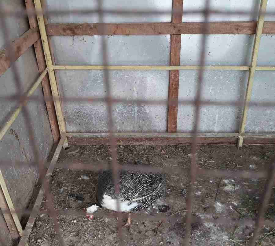 Wonder Land (Kajal Dighi)-Digha必去景点