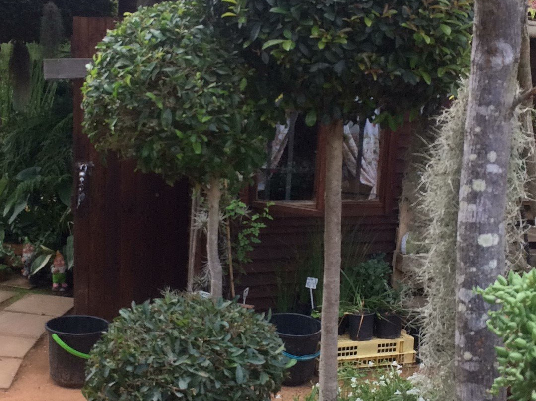 Heidelberg kwekery-Heidelberg必去景点