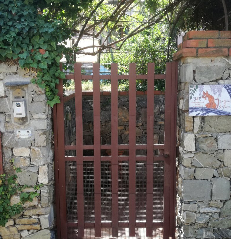 B&B la Gatta E IL Glicine主图