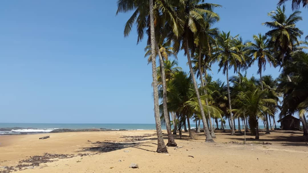 Hotel La Flotte主图