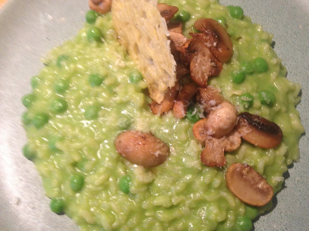 Beaver Galleries-堪培拉必去景点