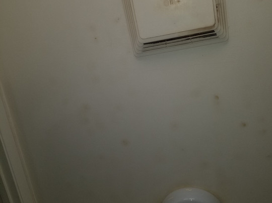 BCMInns - Peace River主图