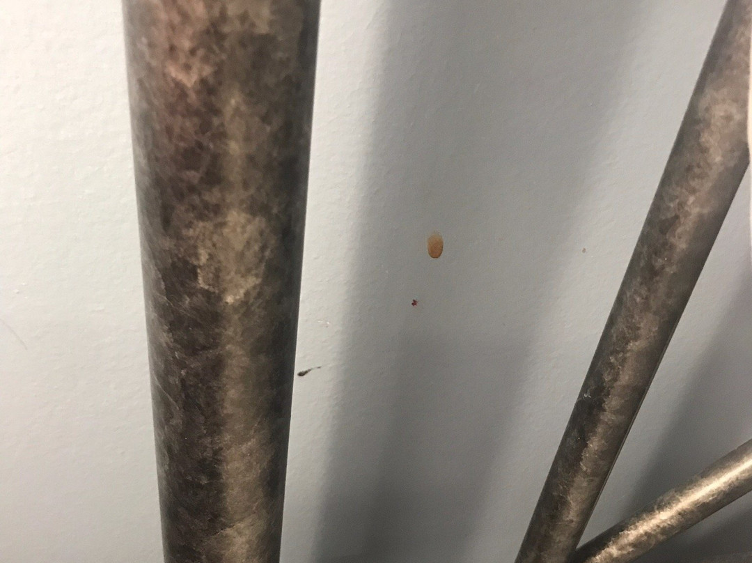 Union Square Guest Quarters主图