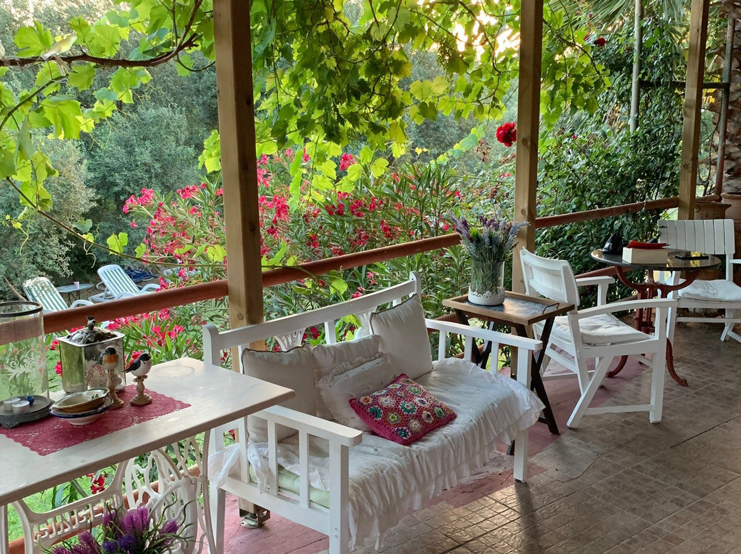 Ege Evi Pansiyon主图