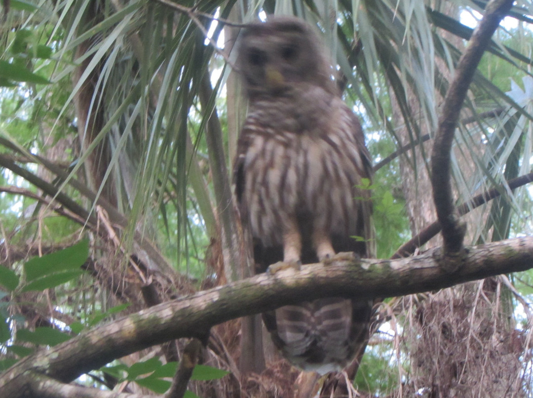 Riverbend Park-朱庇特必去景点
