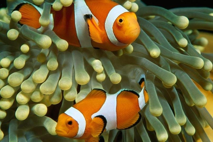 Got Your Guides-赫尔格达必去景点