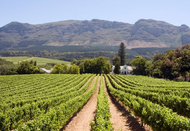 Cape Winelands Riding-Simondium必去景点