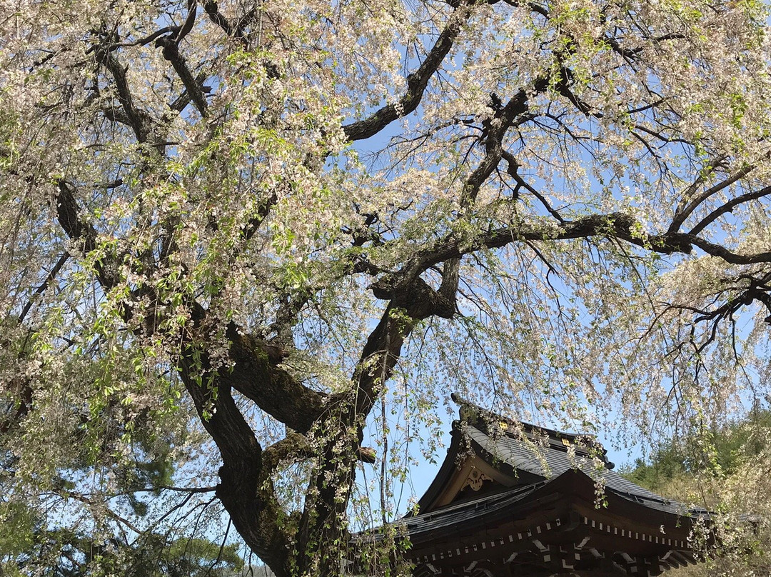 Hase Temple-上田市必去景点