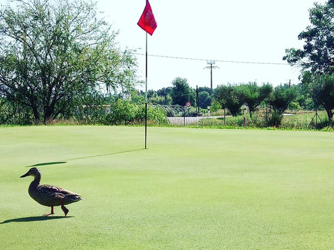 Golf de Roquebrune Resort-阿尔冈河畔罗屈埃布吕纳必去景点