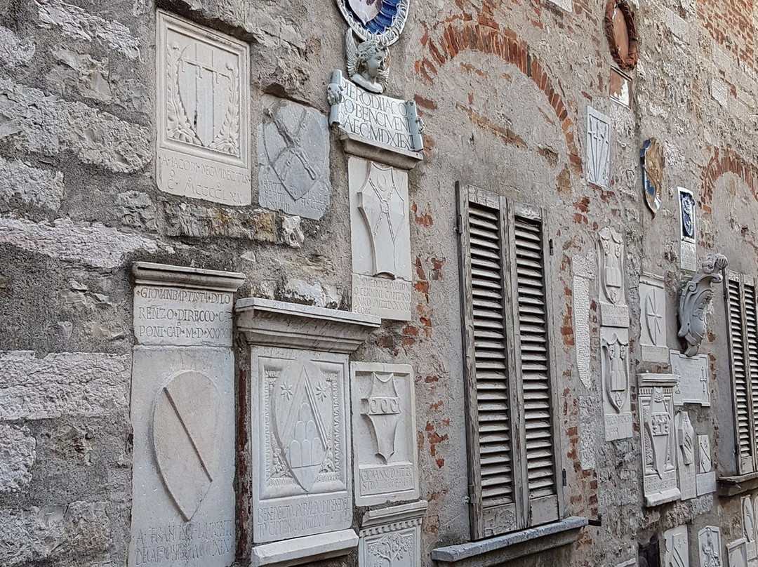Mostra Museo Permanente "Carlo Guarnieri"景点图片