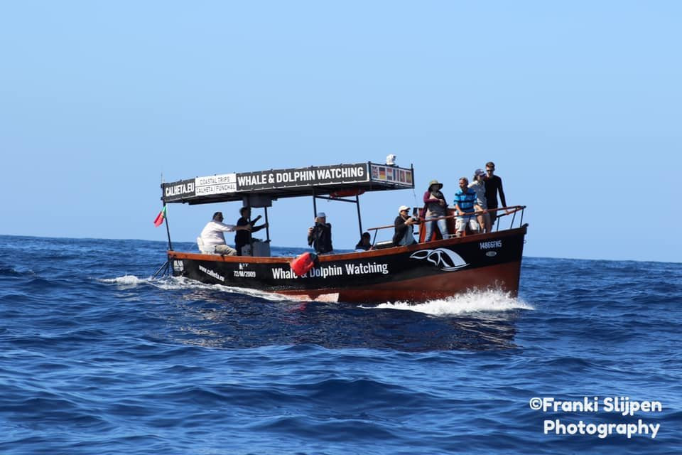 Calheta Touristic Promotions-卡列塔必去景点