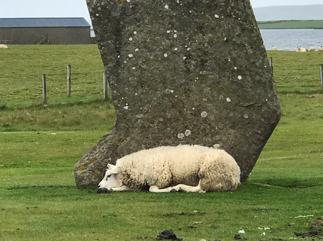 Red's Orkney Tours景点图片