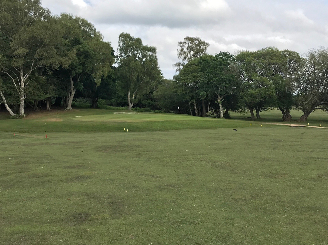 New Forest Golf Club景点图片