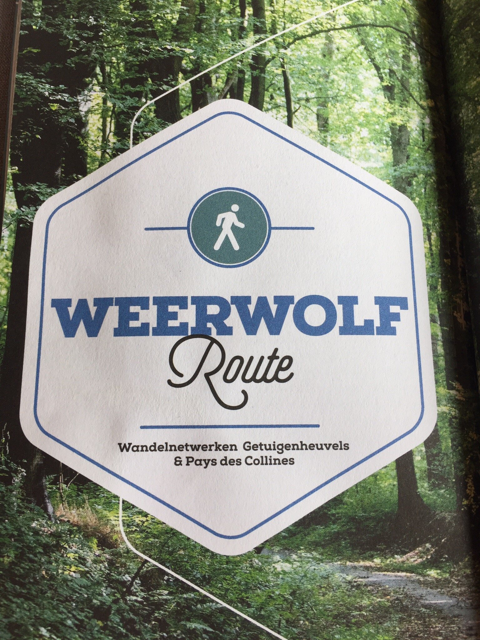 De Groene Weg-官方