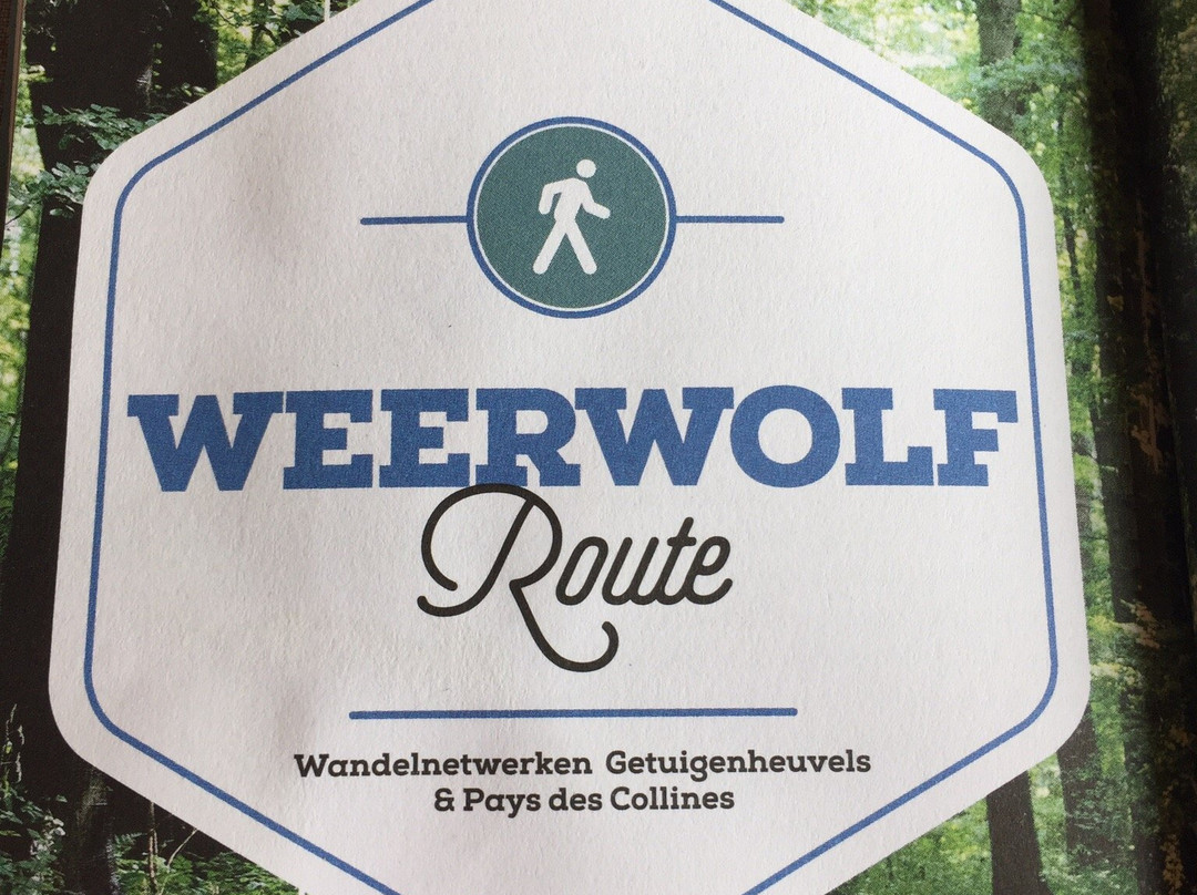 De Groene Weg主图