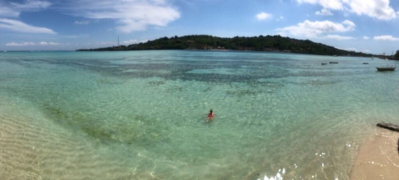 Ocean Brothers-泳池