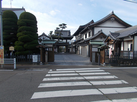 Seiryo-ji Temple-清须市必去景点