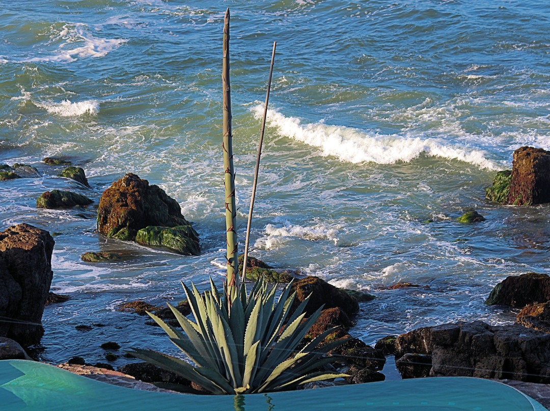 Las Rosas Hotel & Spa主图