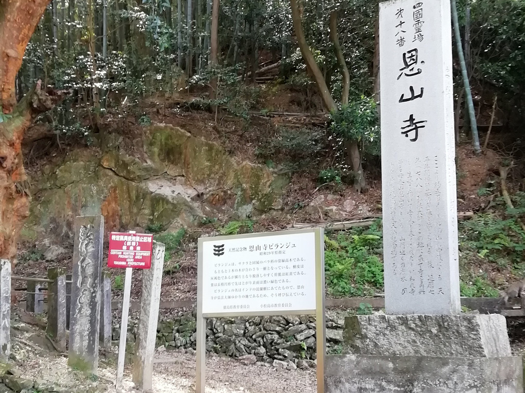 Onzanji Temple-小松岛市必去景点