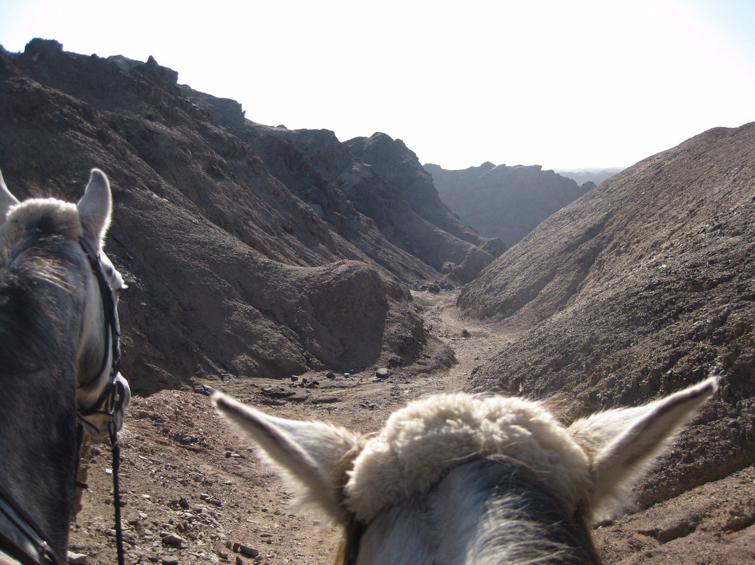 Okakambe Trails景点图片