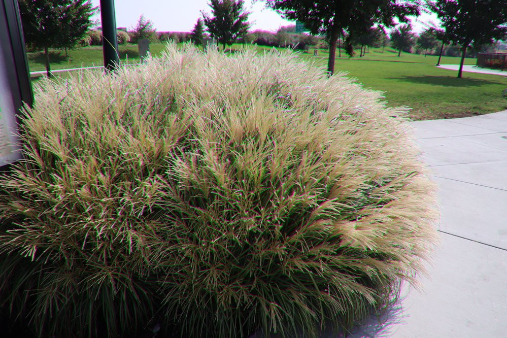 Lewis & Clark Festival-The Dalles必去景点