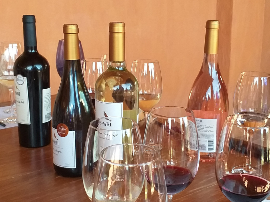 Vinícola Guaspari-Espirito Santo Do Pinhal必去景点