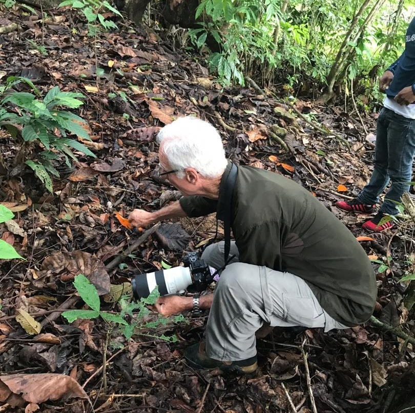 Tabin Lodge and Wildlife Rainforest Tour-拉哈达图必去景点