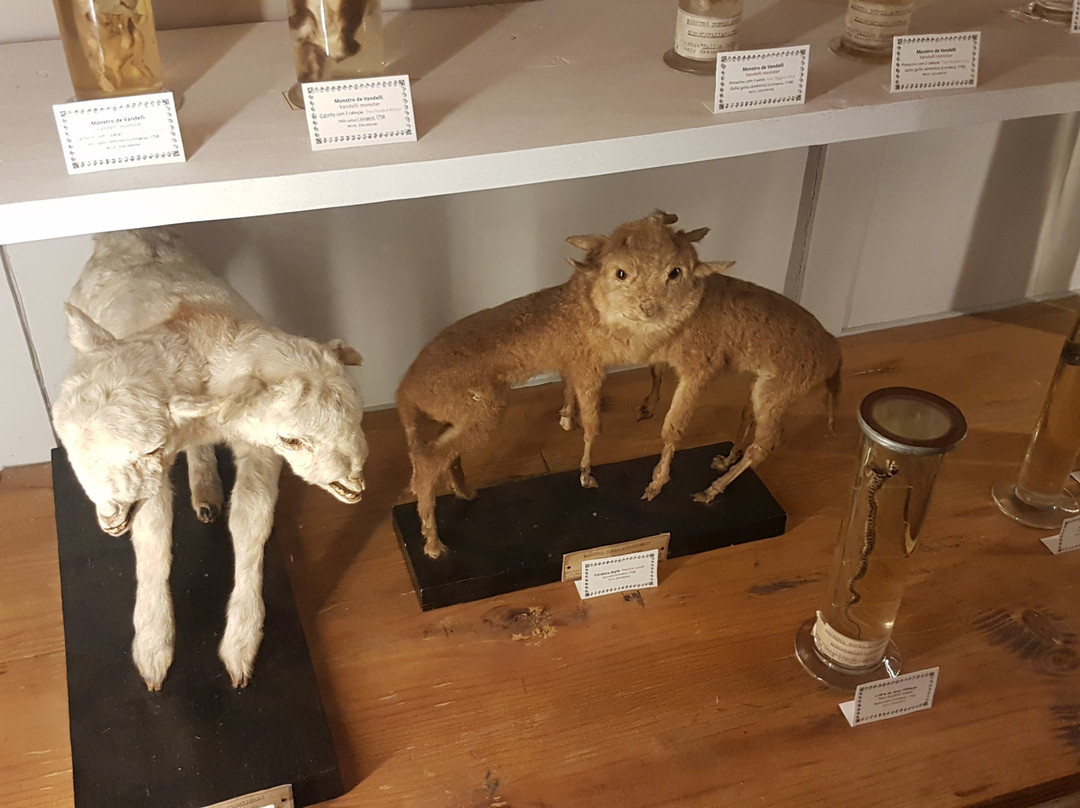 Museu de Zoologia-科英布拉区必去景点