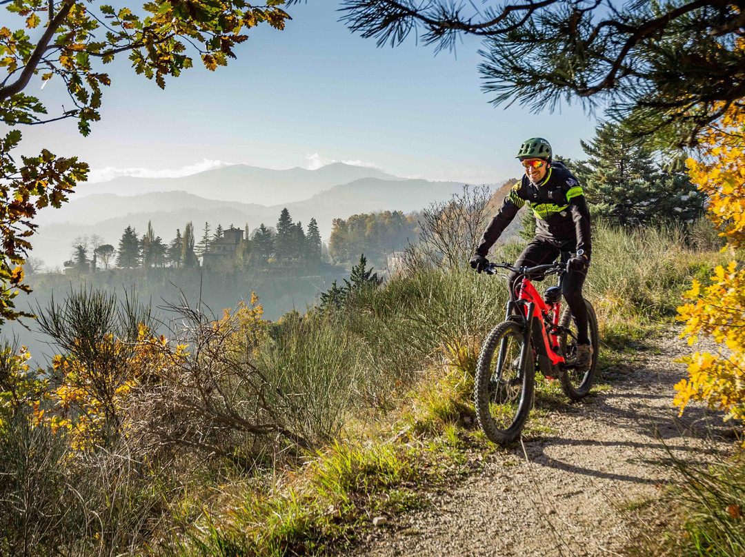 Urbino e-Bike Tour景点图片