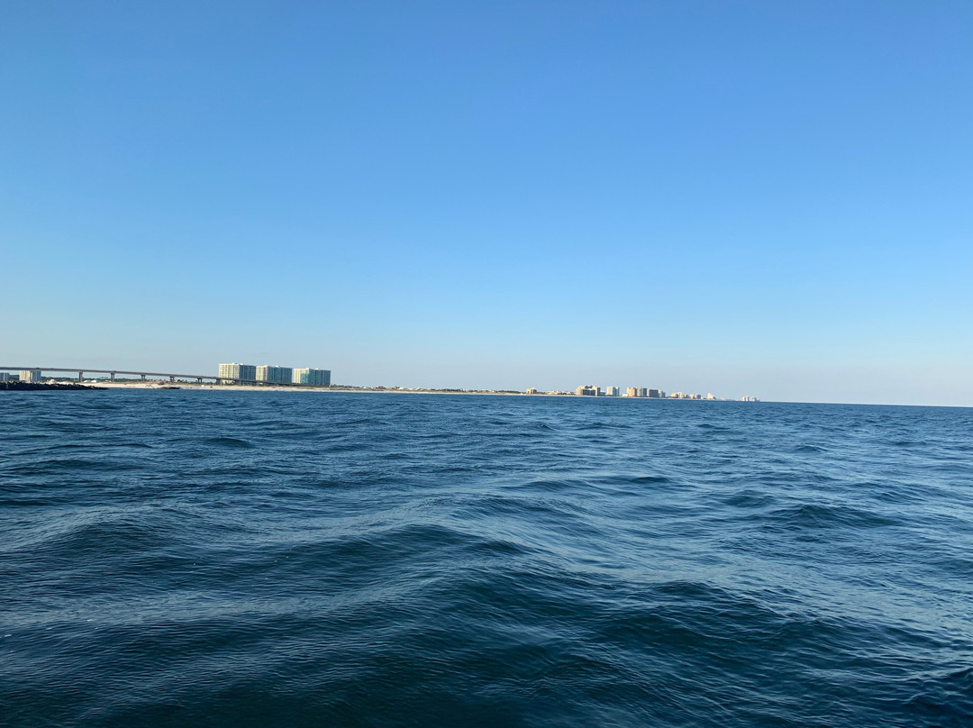 Southern Rose Dolphin Cruises景点图片