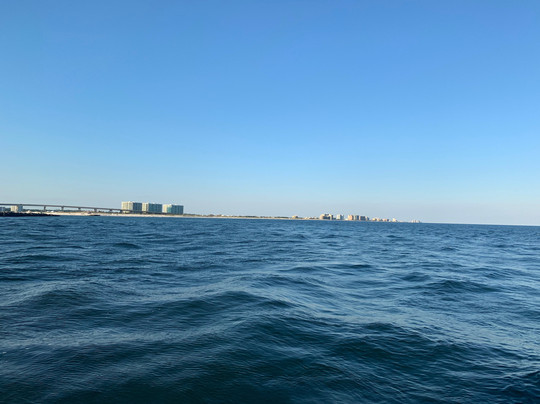 Southern Rose Dolphin Cruises-橙色海湾必去景点