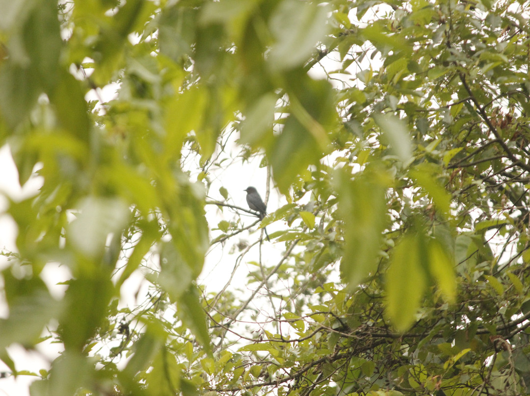 Munlom Nature Resort主图