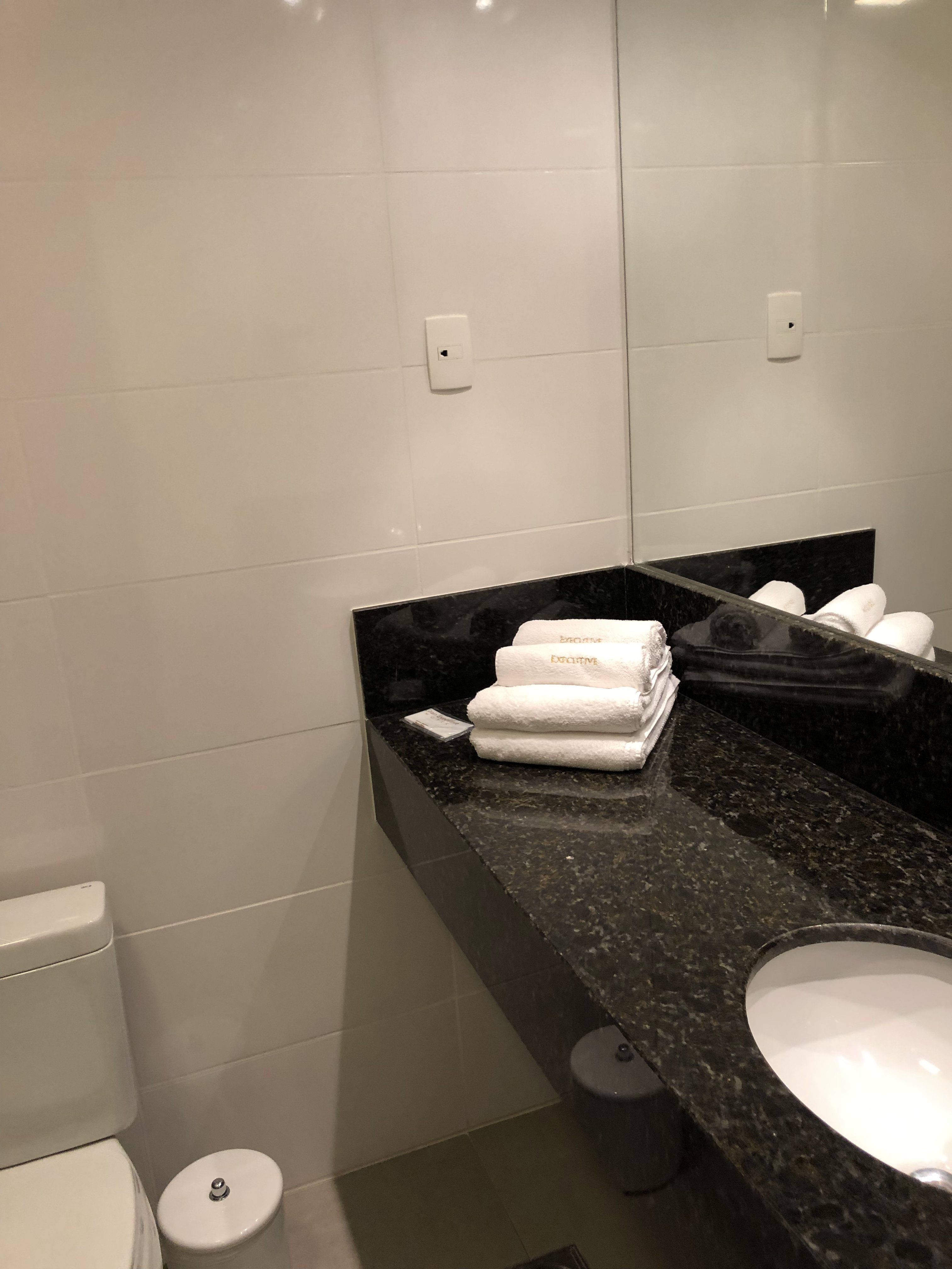 Gran Executive Hotel-浴室