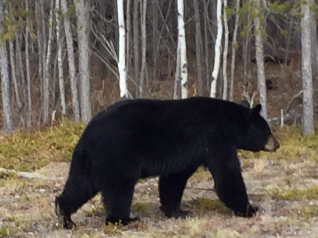 Econo Lodge Inn & Suites主图