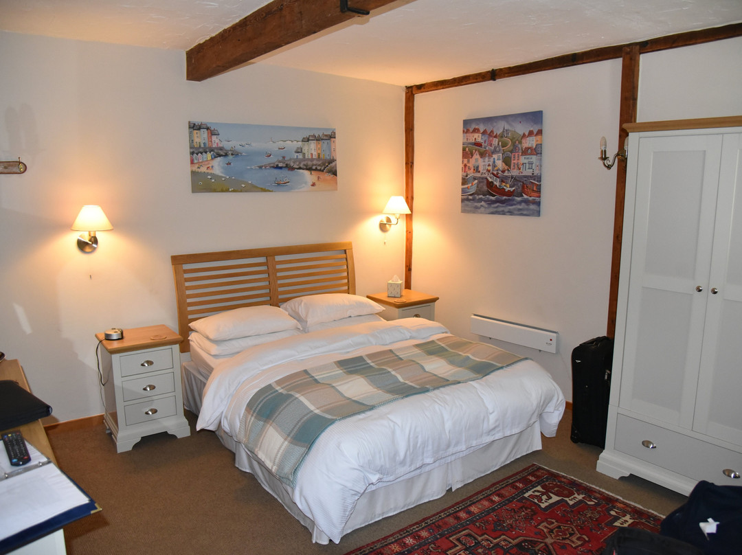 The Old Inn Hawkchurch主图