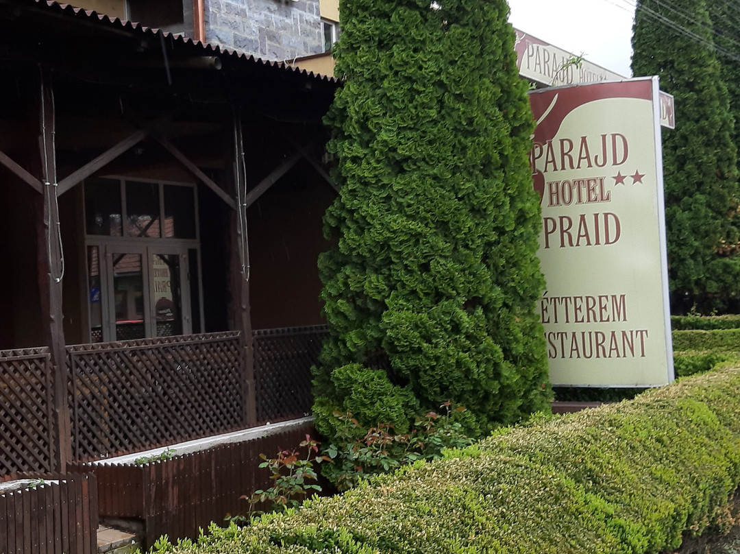 Hotel Praid主图