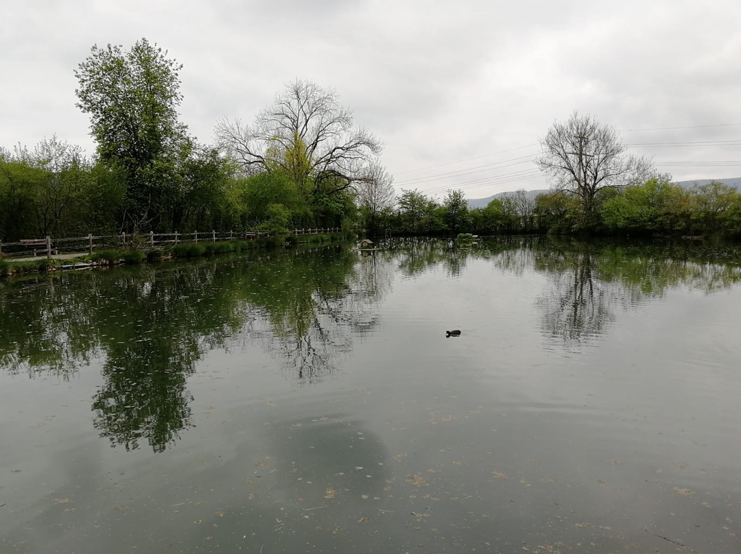 Klostergumpen-Embrach必去景点