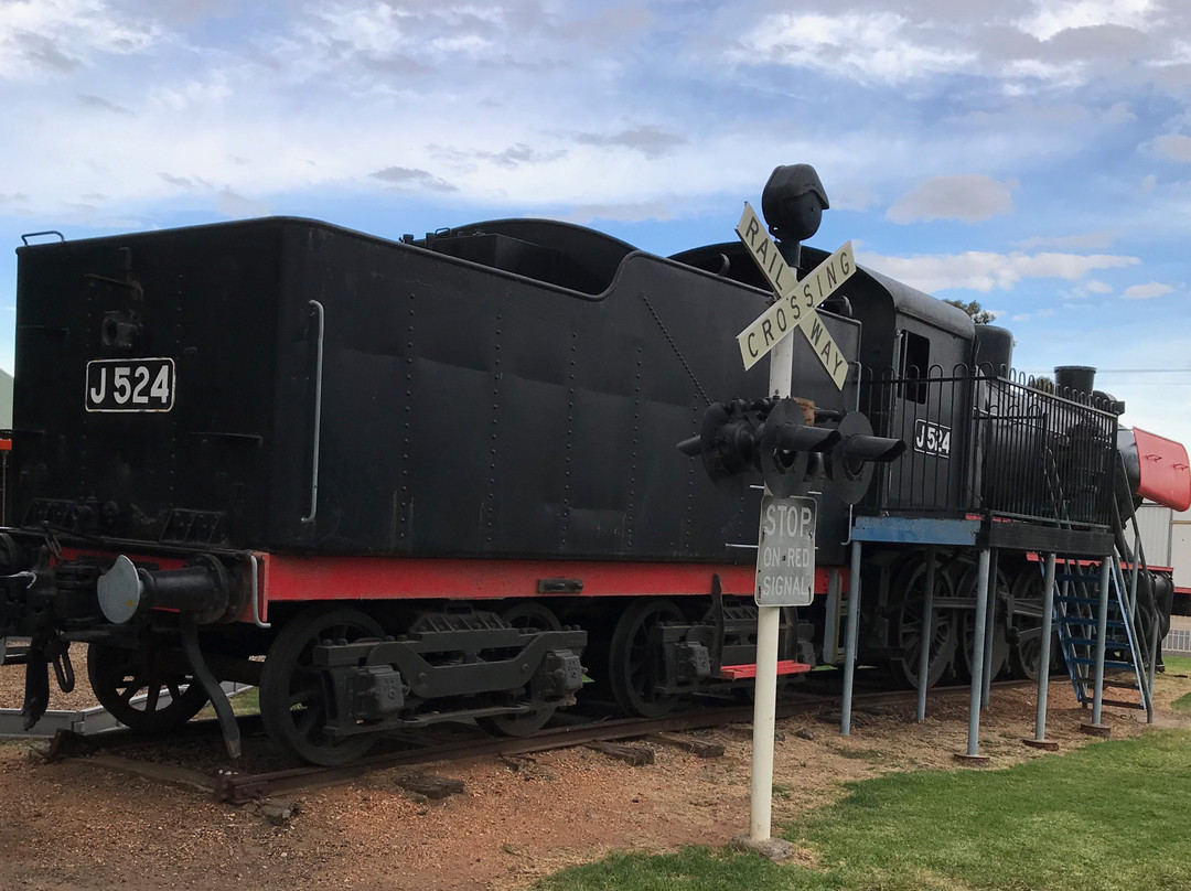 Lions' Train Park-Donald必去景点