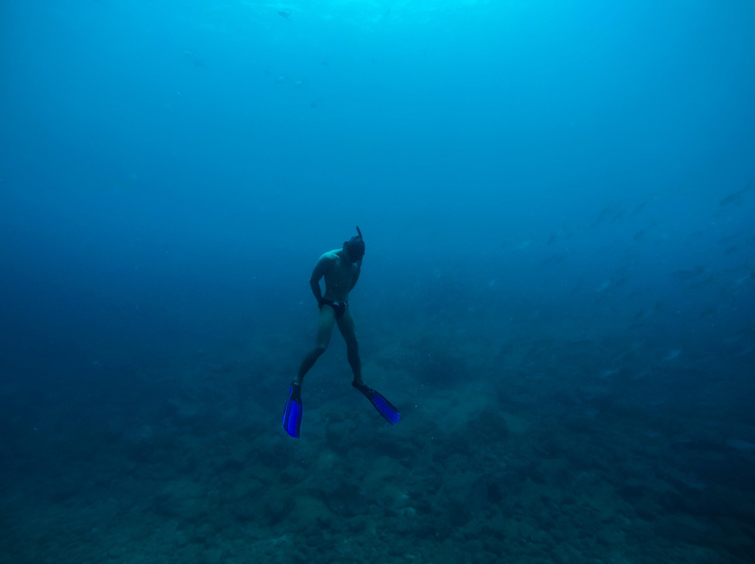 Madre Agua Ecoturismo-Bahia Solano必去景点