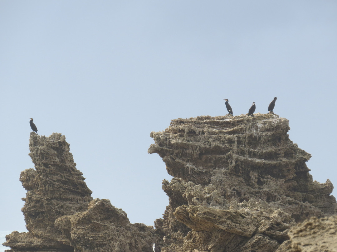 Point Roadknight-安格尔西岛必去景点