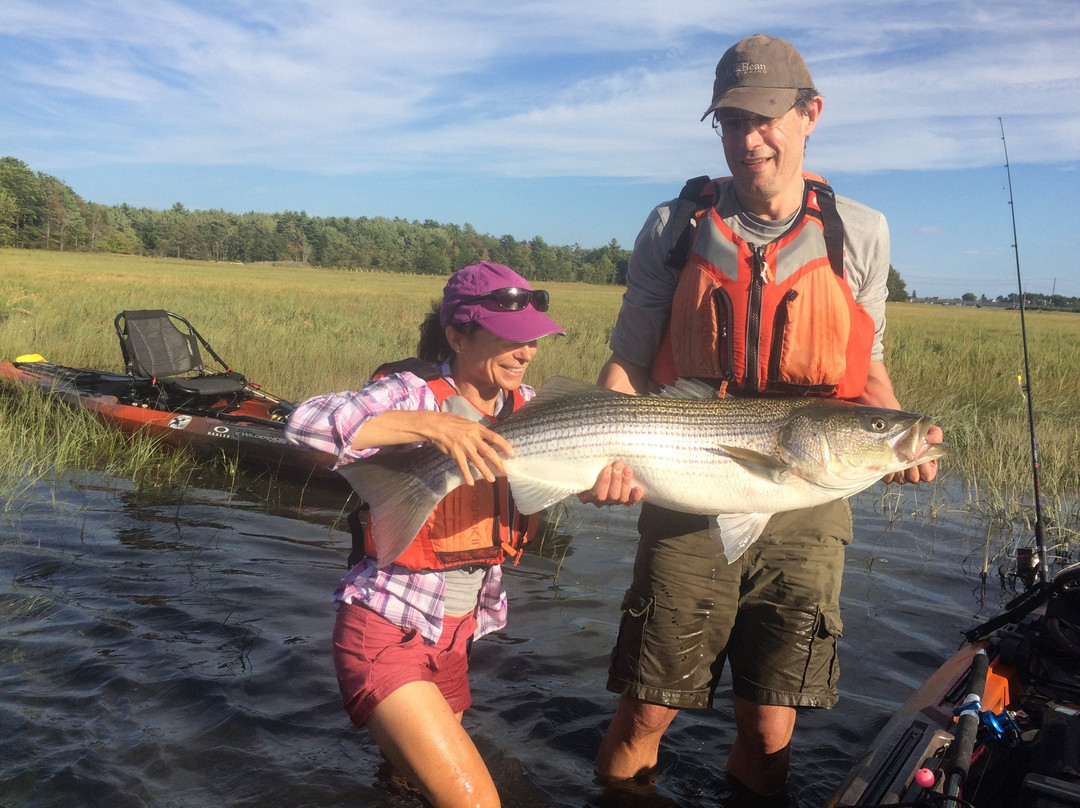 Kayak Fish New England-肯纳邦克港必去景点