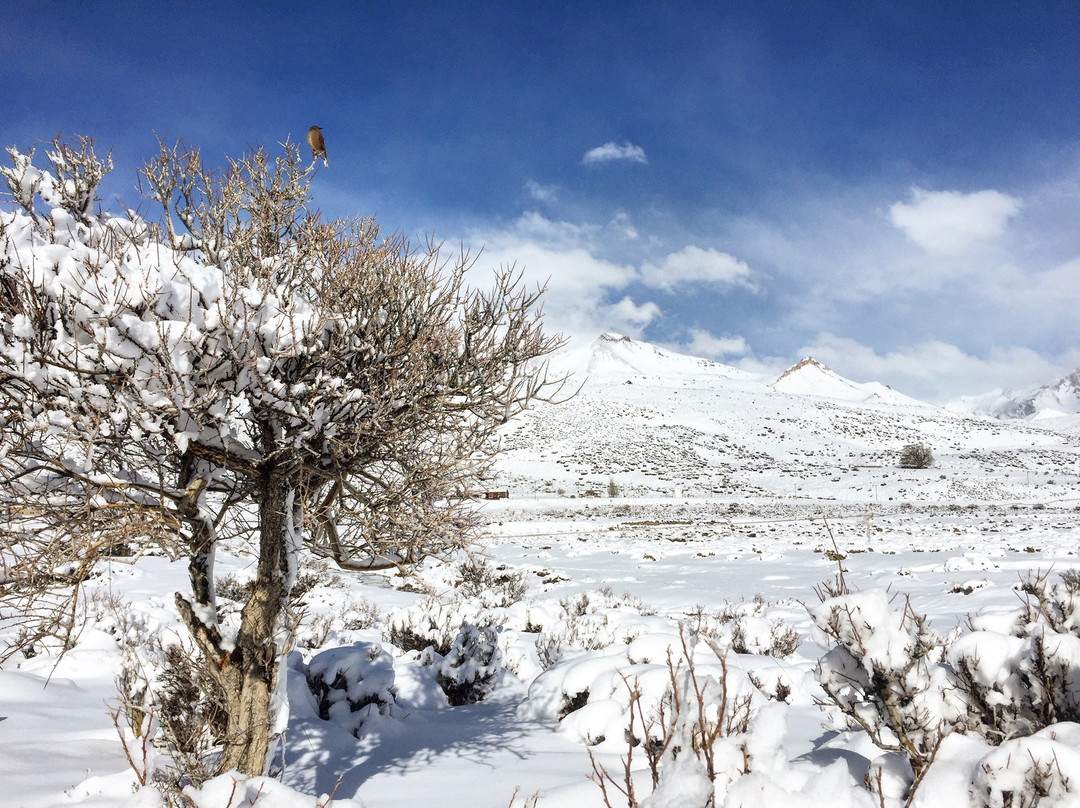 Yaca Cabanas de Montana主图