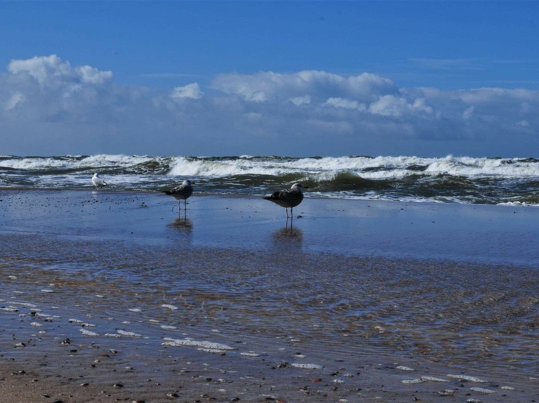 Darłówko Beach景点图片