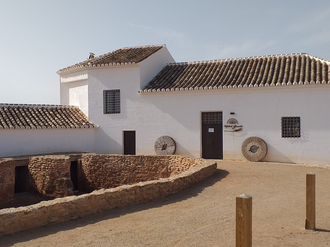 Turismo Manzanares-曼萨纳雷斯必去景点