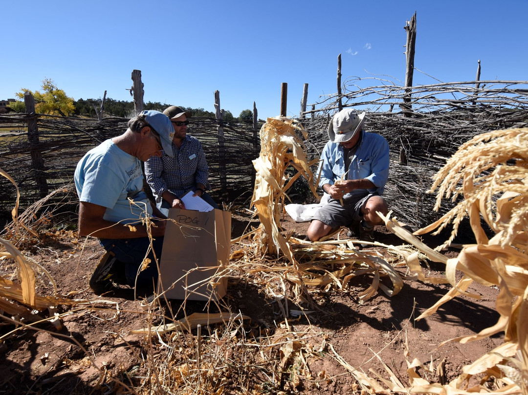 Crow Canyon Archaeological Center-科尔特斯必去景点