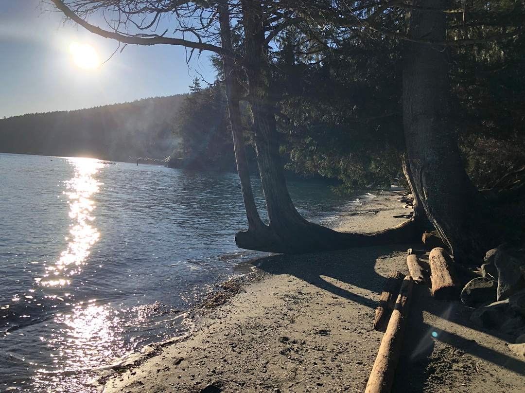 Salt Spring Island Paddle Board Company景点图片