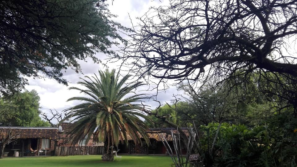 Kameelboom Lodge主图