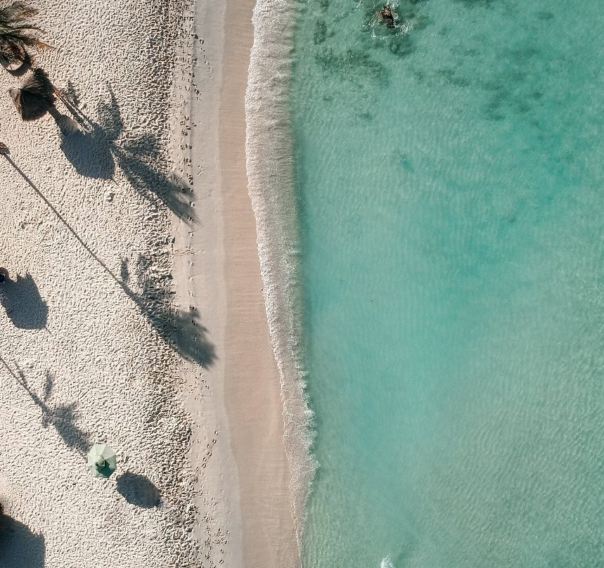 Arashi Beach-Arashi必去景点
