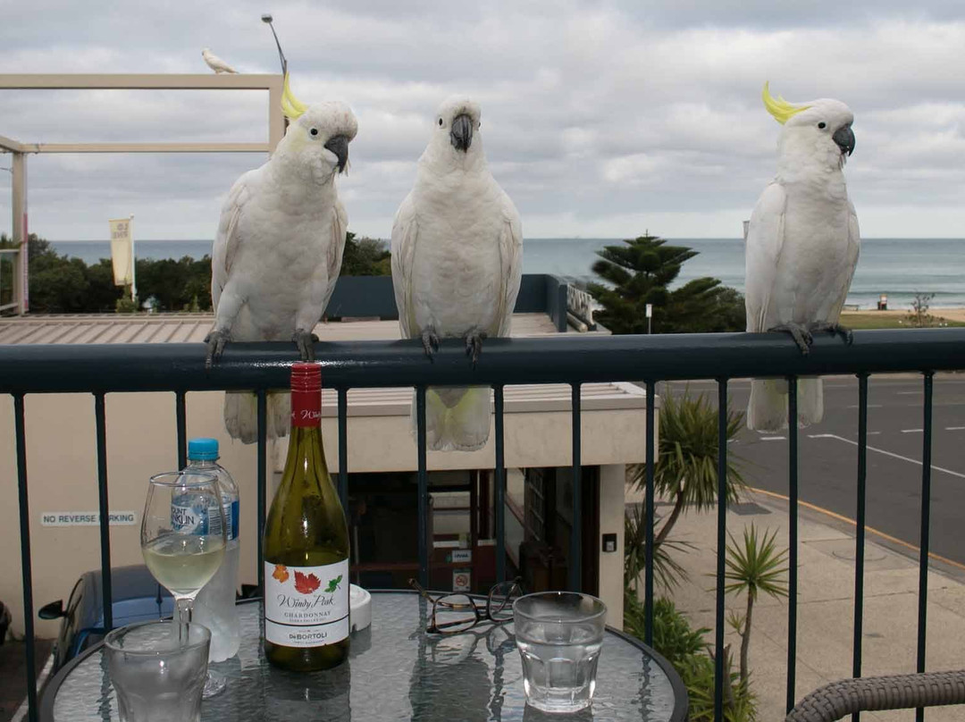 桑德里奇汽车旅馆主图